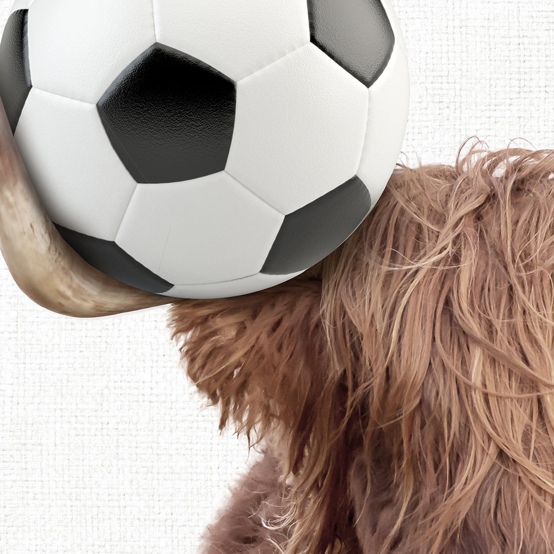 a dog with a soccer ball on its head