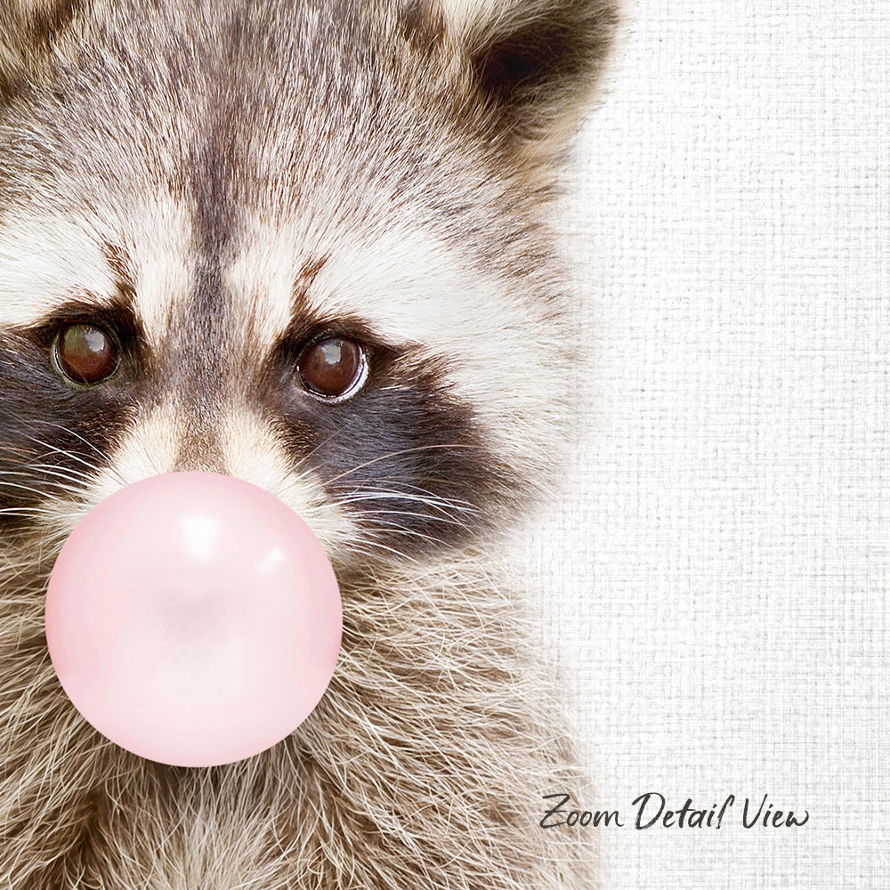 A raccoon blowing a bubble with a pink bubble gum bubble.