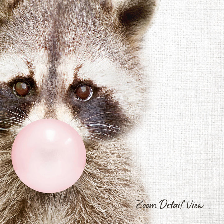 A raccoon blowing a bubble with a pink bubble gum bubble.