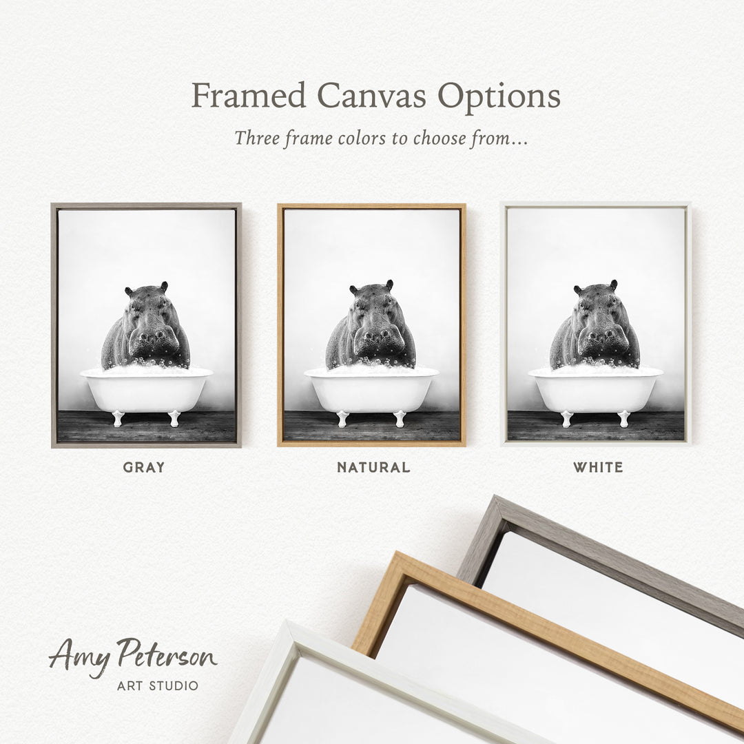 three framed canvas options, each featuring a black and white photograph of a hippopotamus sitting in a bathtub. The options include a gray frame, a natural frame, and a white frame.