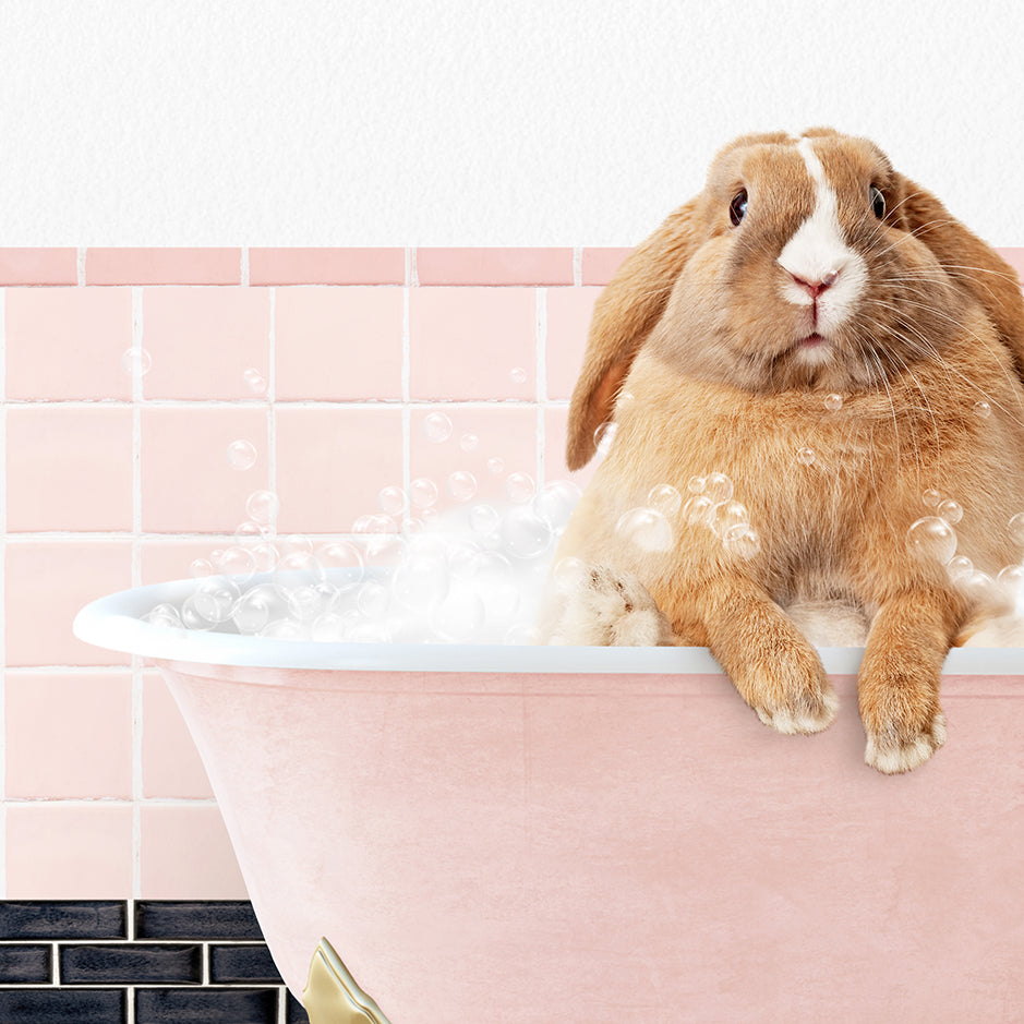 a rabbit sitting in a bathtub full of bubbles