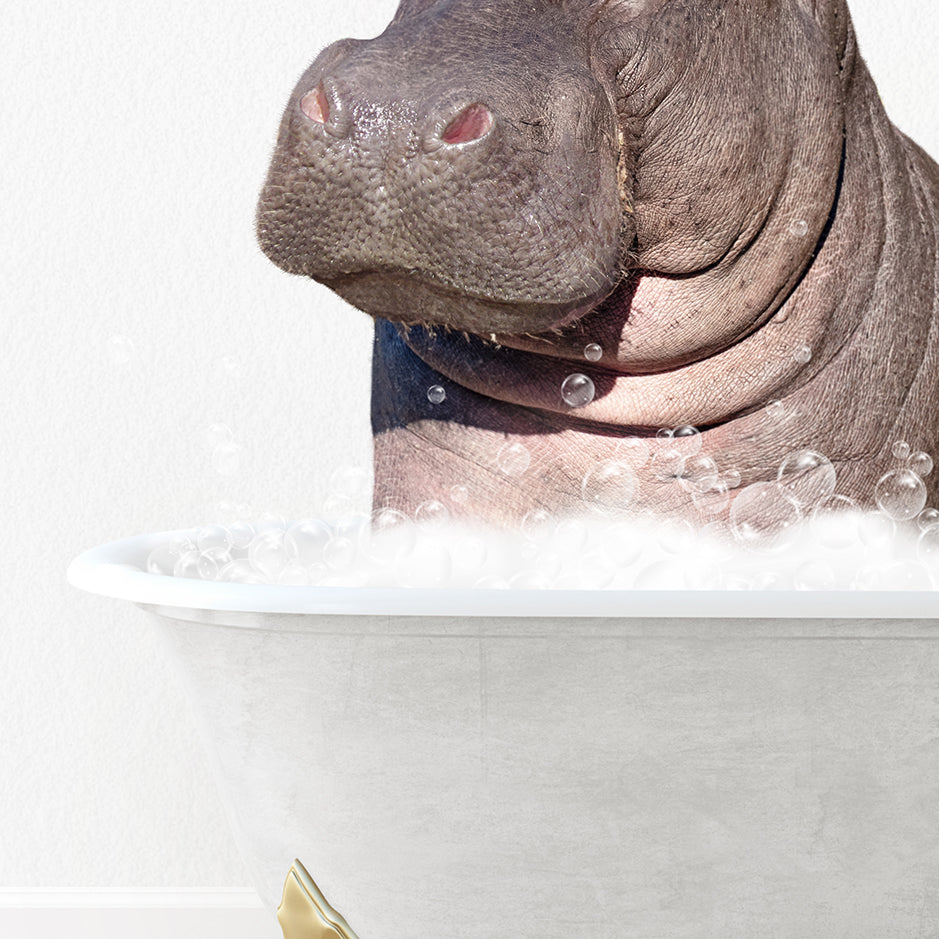 a hippopotamus sitting in a bathtub full of bubbles