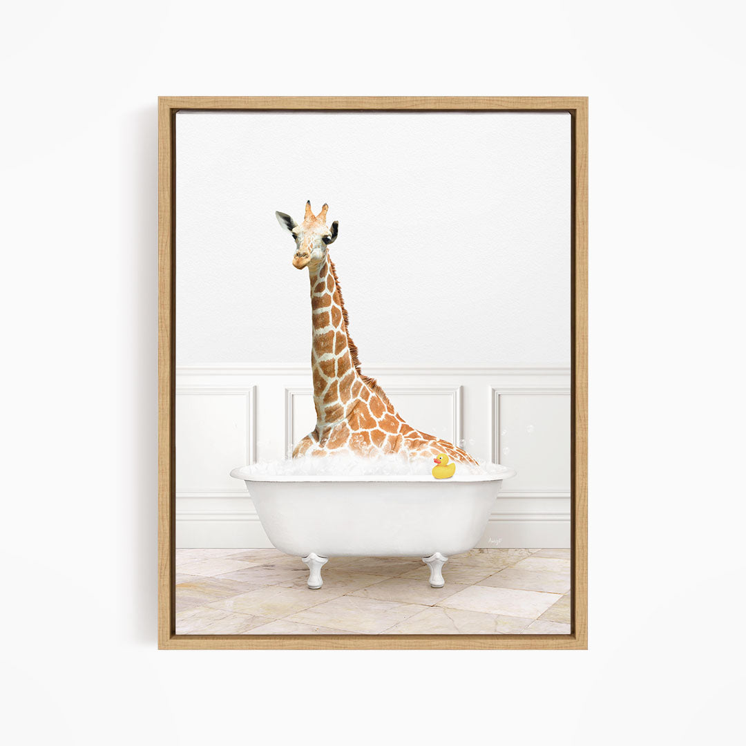 A giraffe sitting in a white bathtub filled with water, with a yellow rubber duck floating in the water.