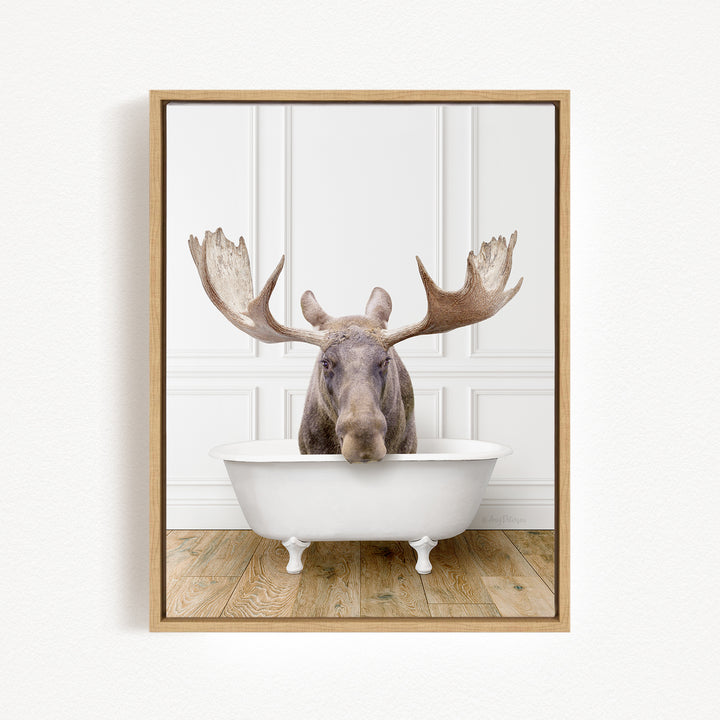 A moose with large antlers is sitting in a white bathtub, appearing to be enjoying a bath.