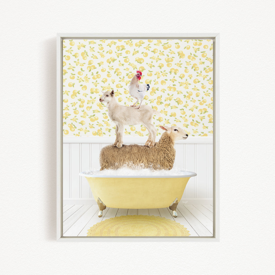 A sheep standing on a tub filled with water, with a chicken perched on top of it.