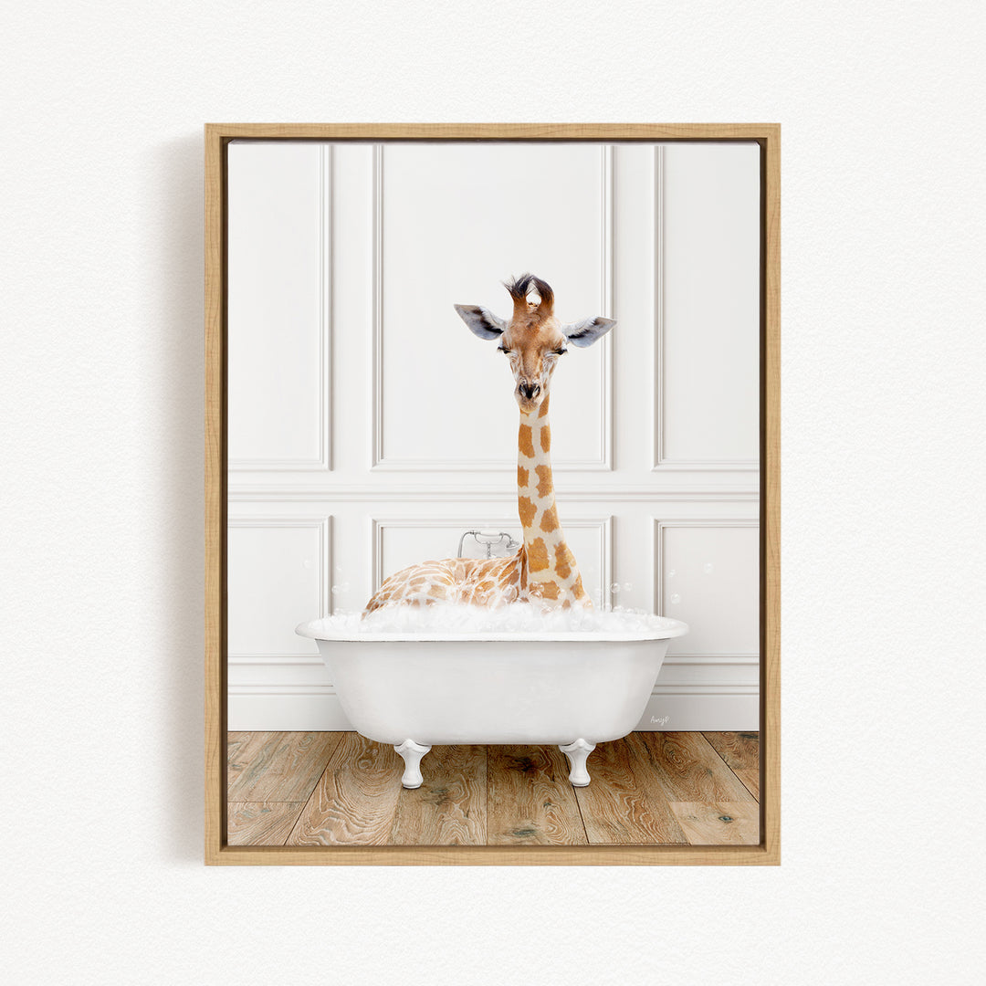 A giraffe sitting in a white bathtub filled with bubbles, looking directly at the camera.