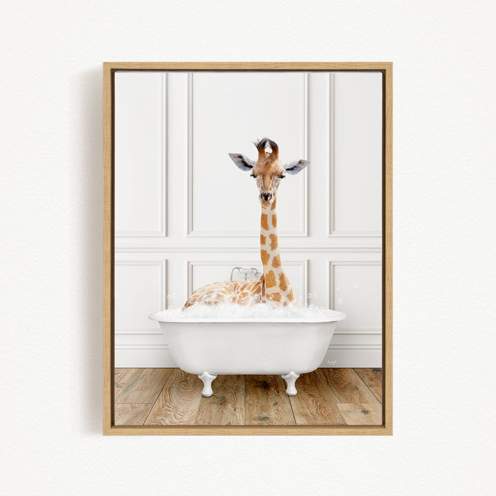 A giraffe sitting in a white bathtub filled with bubbles, looking directly at the camera.