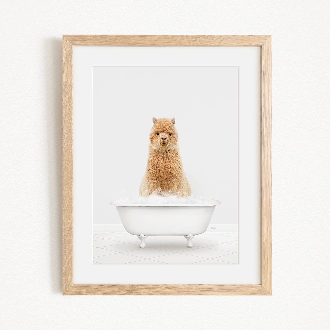 A fluffy brown alpaca sitting in a white bathtub filled with bubbles, as if enjoying a relaxing bath.