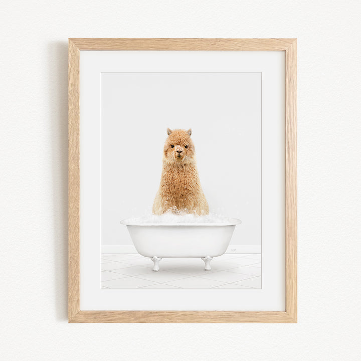 A fluffy brown alpaca sitting in a white bathtub filled with bubbles, as if enjoying a relaxing bath.