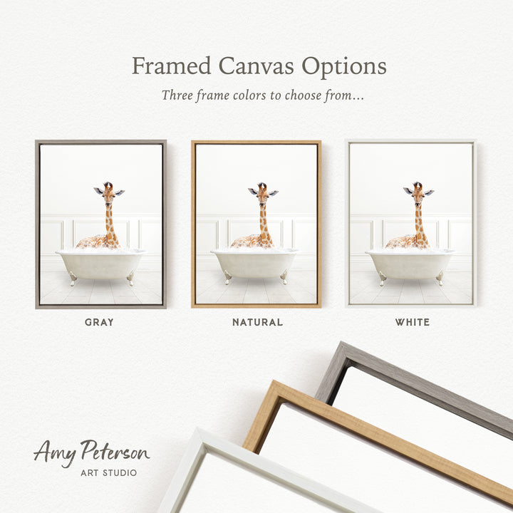 three framed canvas options, each featuring a giraffe in a bathtub. The options include a gray frame, a natural frame, and a white frame. The text above the images reads " Framed Canvas Options" and "Three frame colors to choose from...".