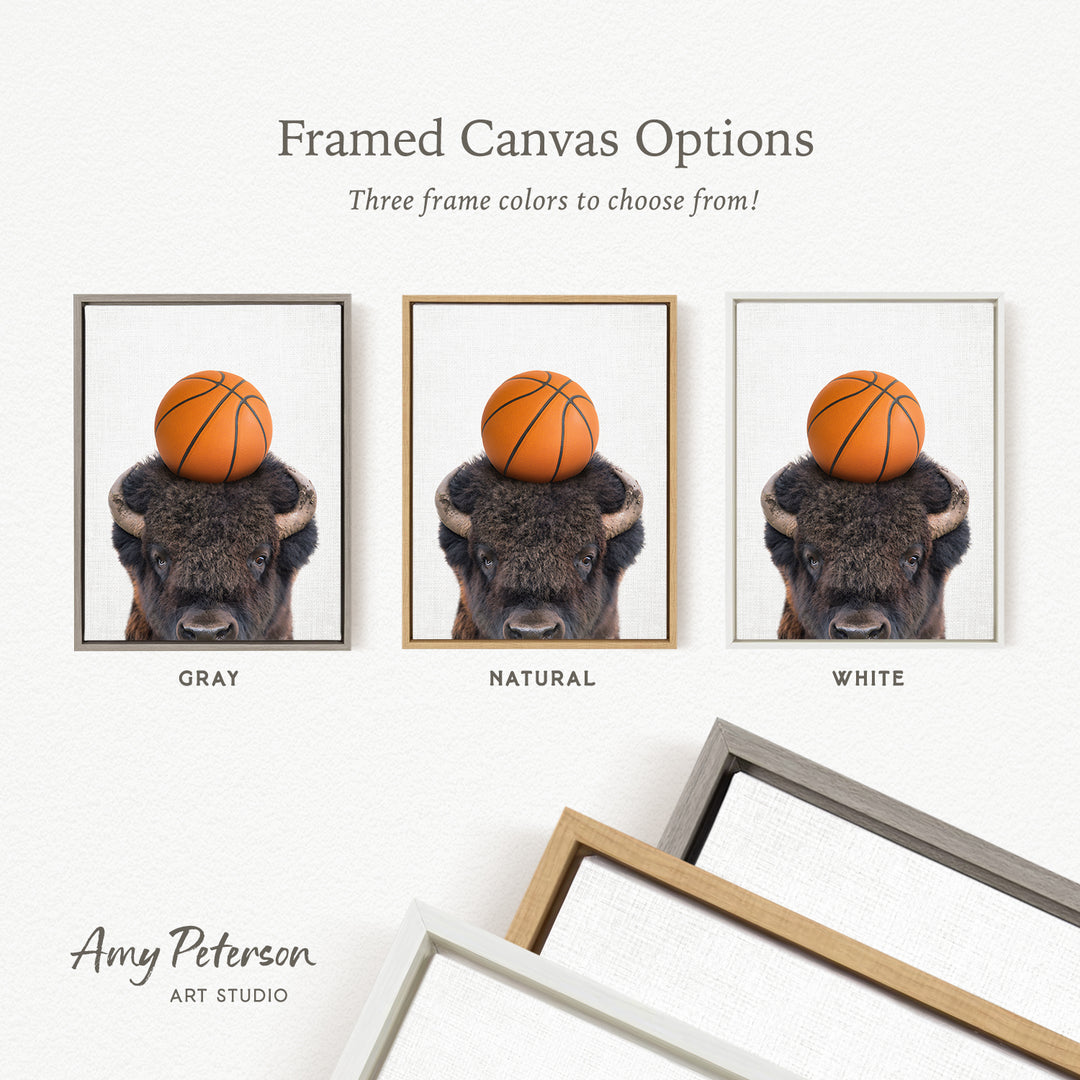 three framed canvas options, each featuring a buffalo with a basketball on its head. The options are labeled as "Grays," "Natural," and "White."
