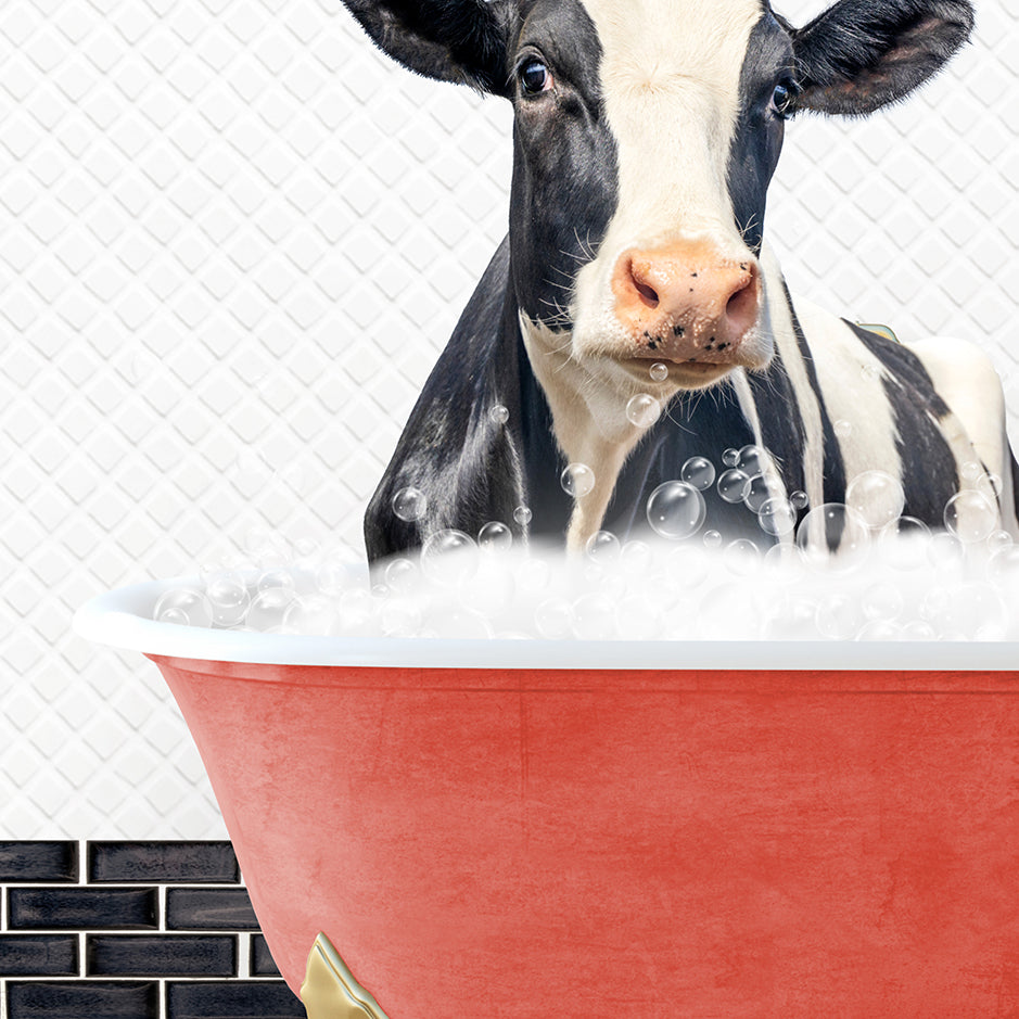 a black and white cow sitting in a bath tub