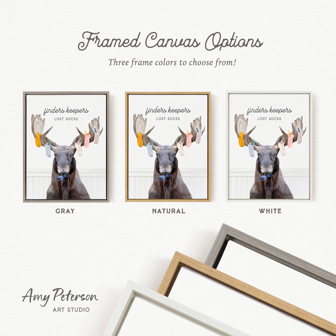 The image is a framed canvas option featuring three different color options for a framed artwork of a moose with lost socks.