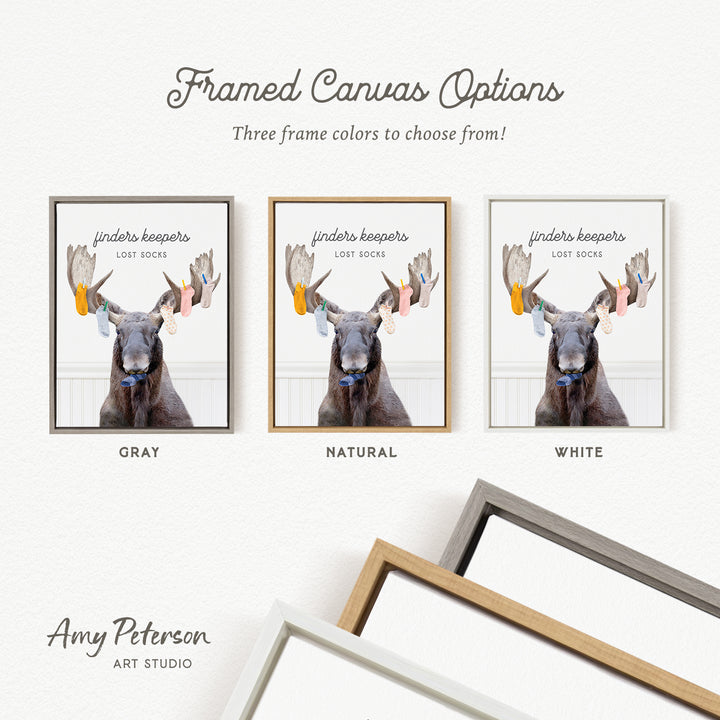 The image is a framed canvas option featuring three different color options for a framed artwork of a moose with lost socks.