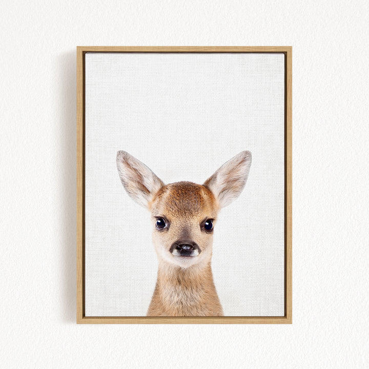 A framed photograph of a deer with large ears and a small nose, looking directly at the camera.