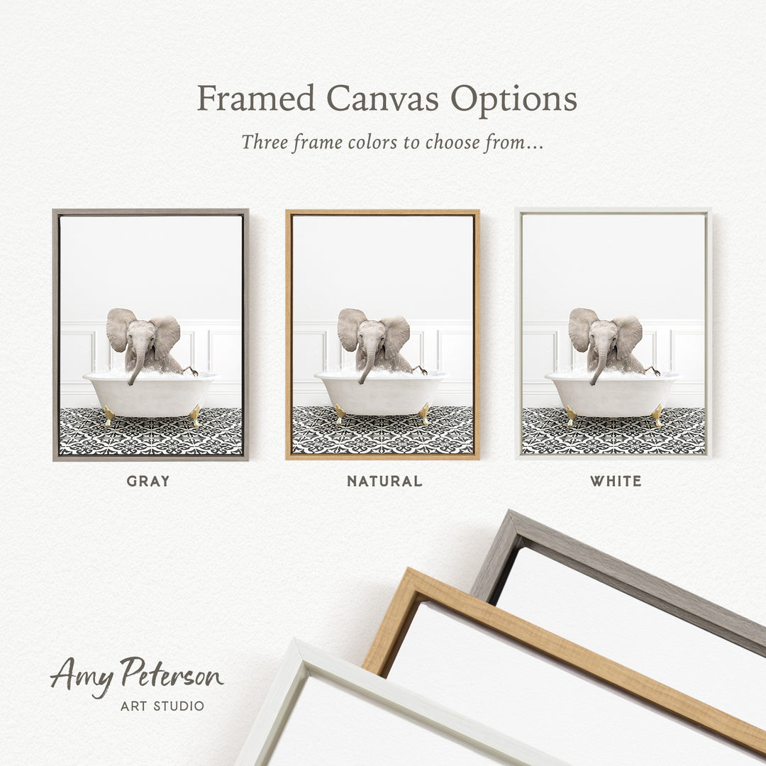 three framed canvas options, each featuring a different color: gray, natural, and white. The text above the images reads " Framed Canvas Options" and "Three frame colors to choose from...". The bottom of the image includes the text " Amy Peterson ART STUDIO".