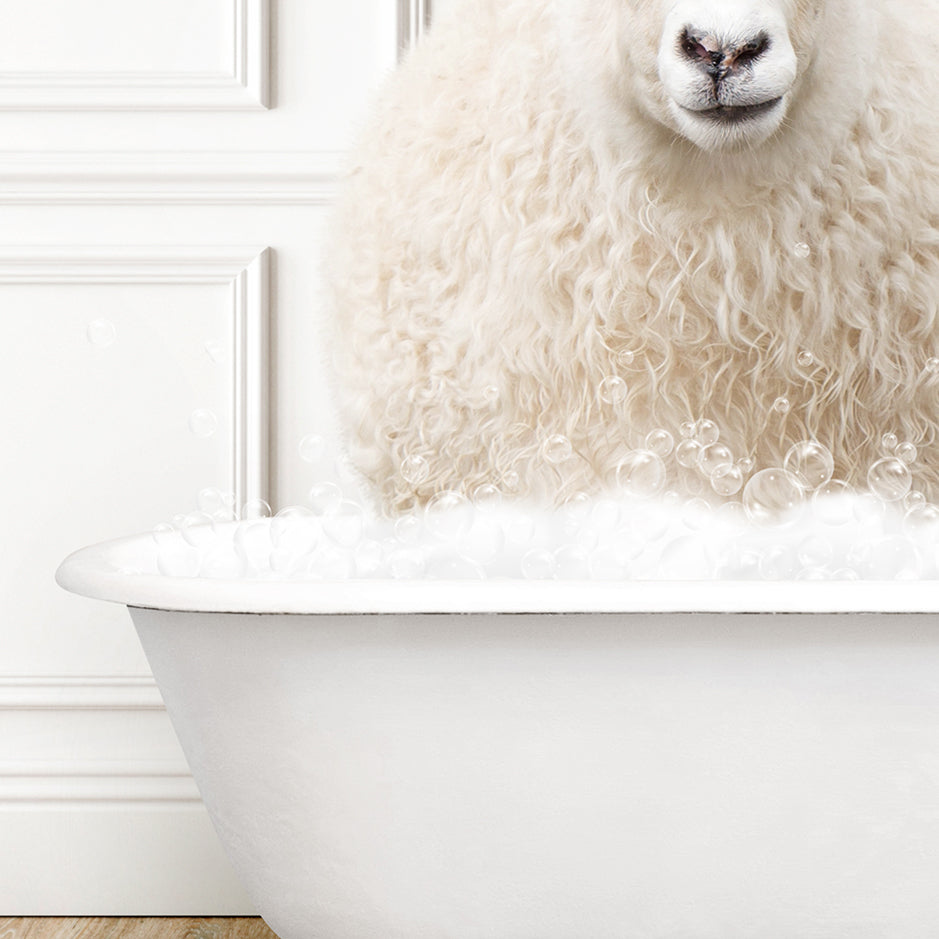 a white sheep is sitting in a bathtub