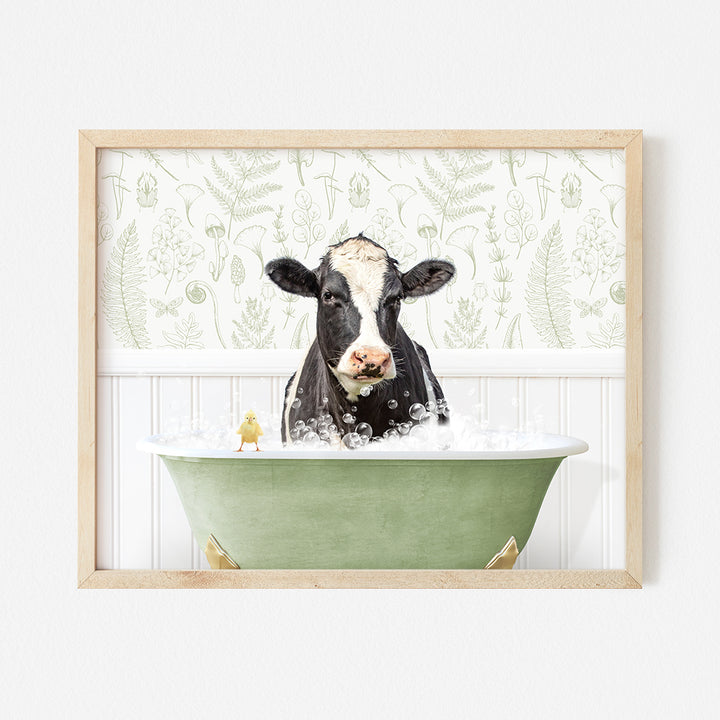 a black and white cow sitting in a bathtub