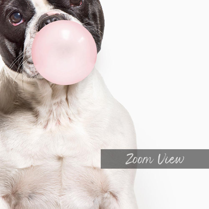 a black and white dog chewing on a pink bubble
