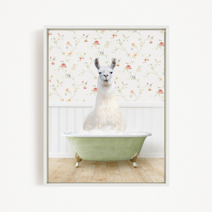 A white llama sitting in a green bathtub filled with bubbles, with a floral wallpaper in the background.
