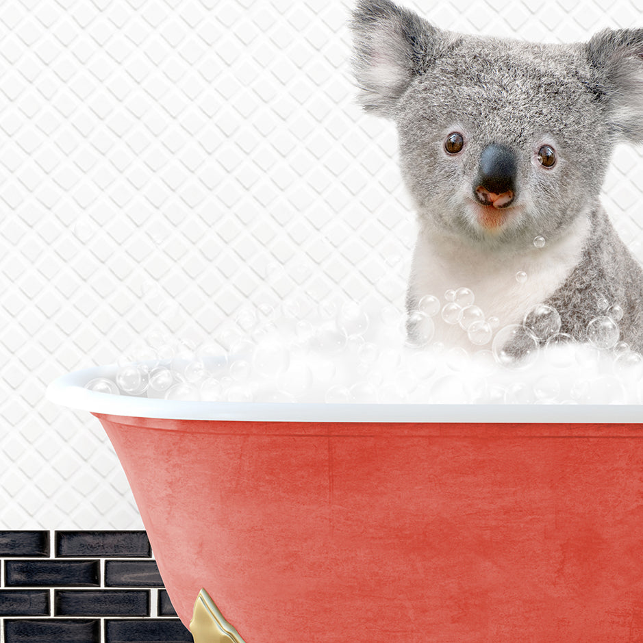 a koala is sitting in a bathtub with bubbles