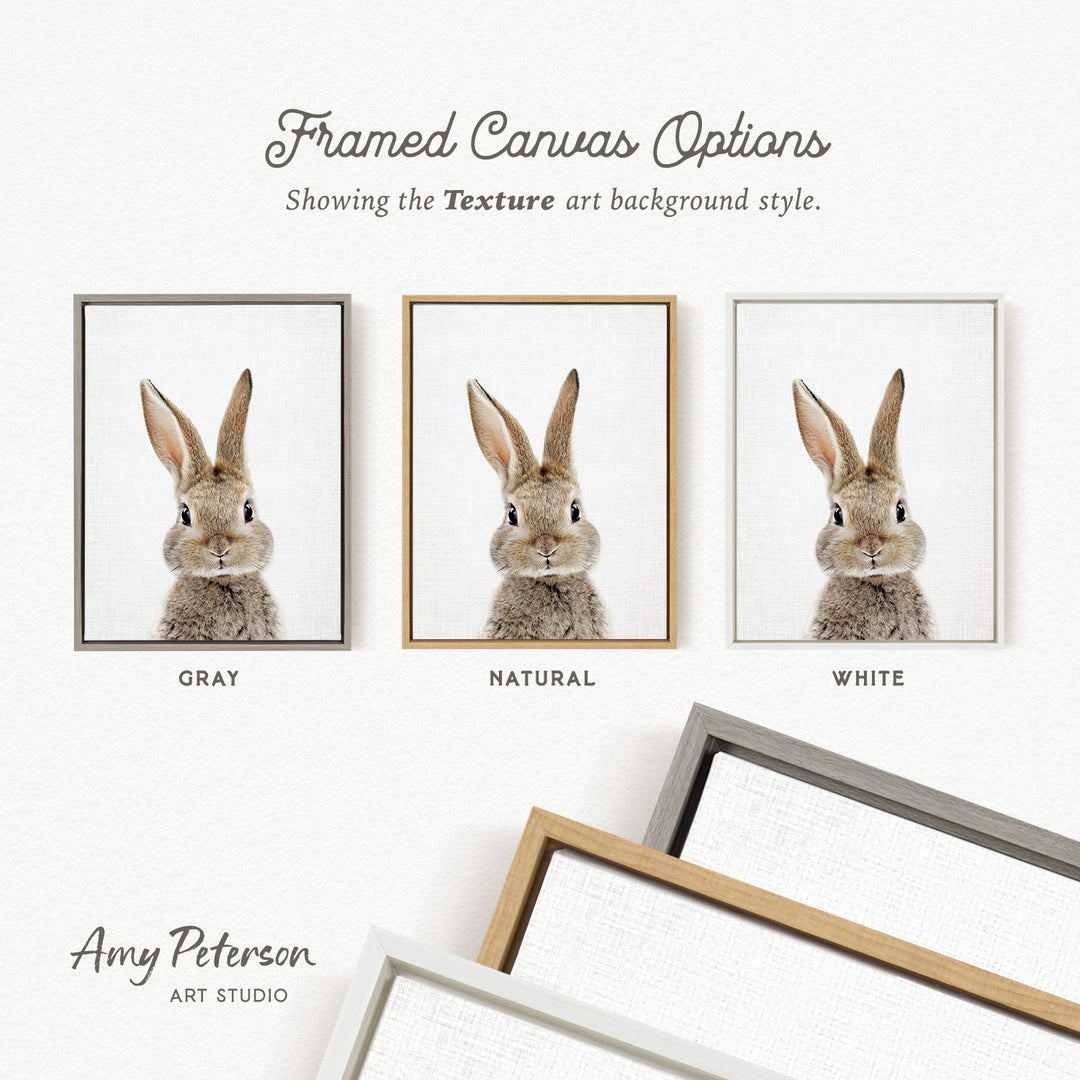 three framed canvas options, each with a different background color: gray, natural, and white. The text above the options reads " Framed Canvas Options" and "Showing the Texture art background style." The text below the options reads "Grays," "NATURAL," and "WHITE." The artist's name, Amy Peterson, is also mentioned at the bottom of the image.