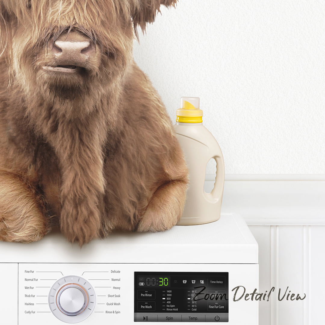 A close-up of a furry brown dog sitting on top of a washing machine, with a bottle of detergent next to it.