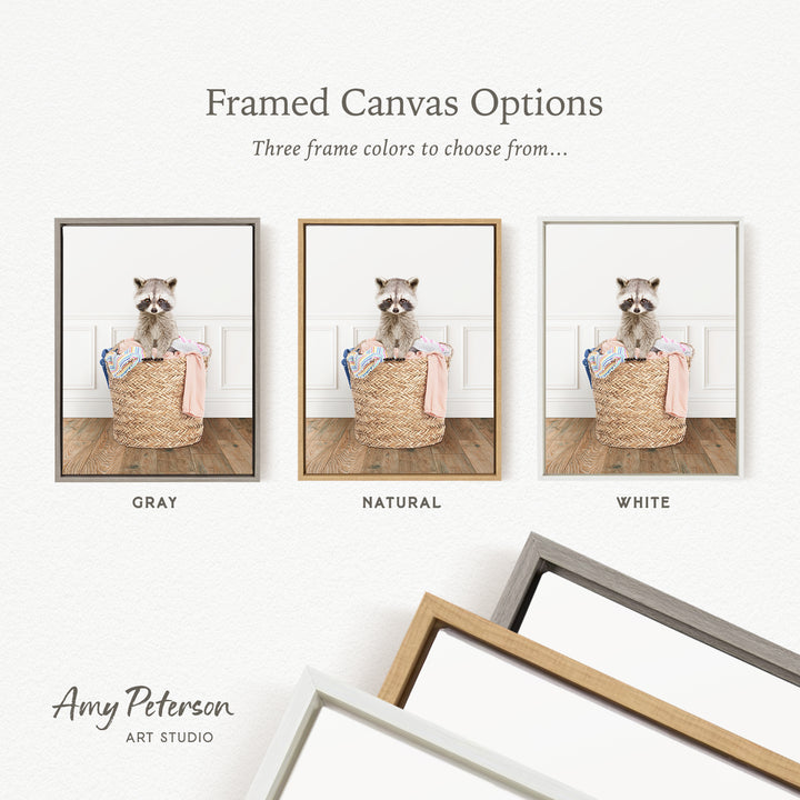The image is a framed canvas option showcasing three different frame colors: gray, natural, and white. The canvas displays a raccoon sitting in a basket, and the frame colors are chosen to complement the artwork.
