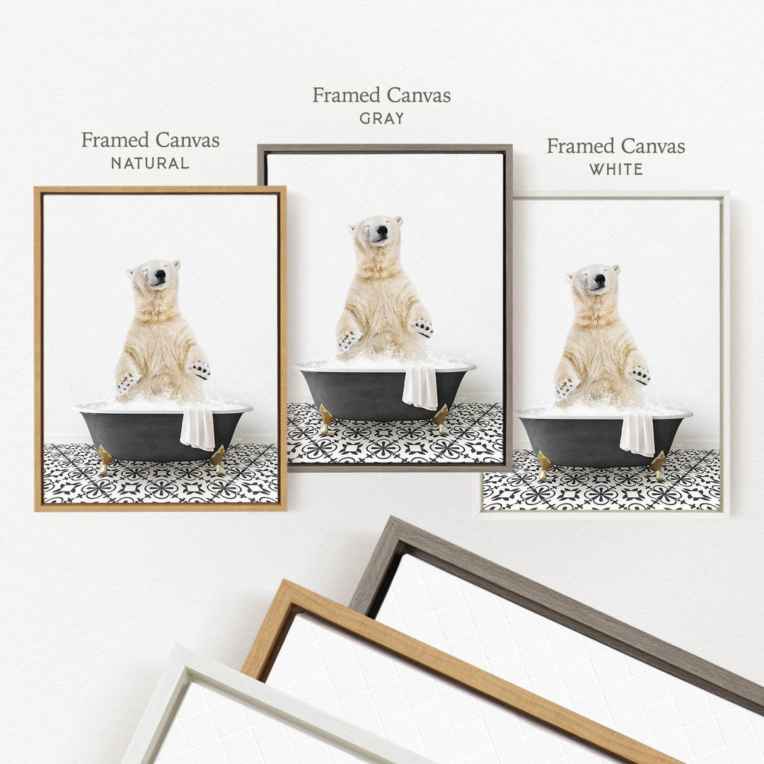three framed pictures of a polar bear sitting in a bathtub, each with a different colored frame.