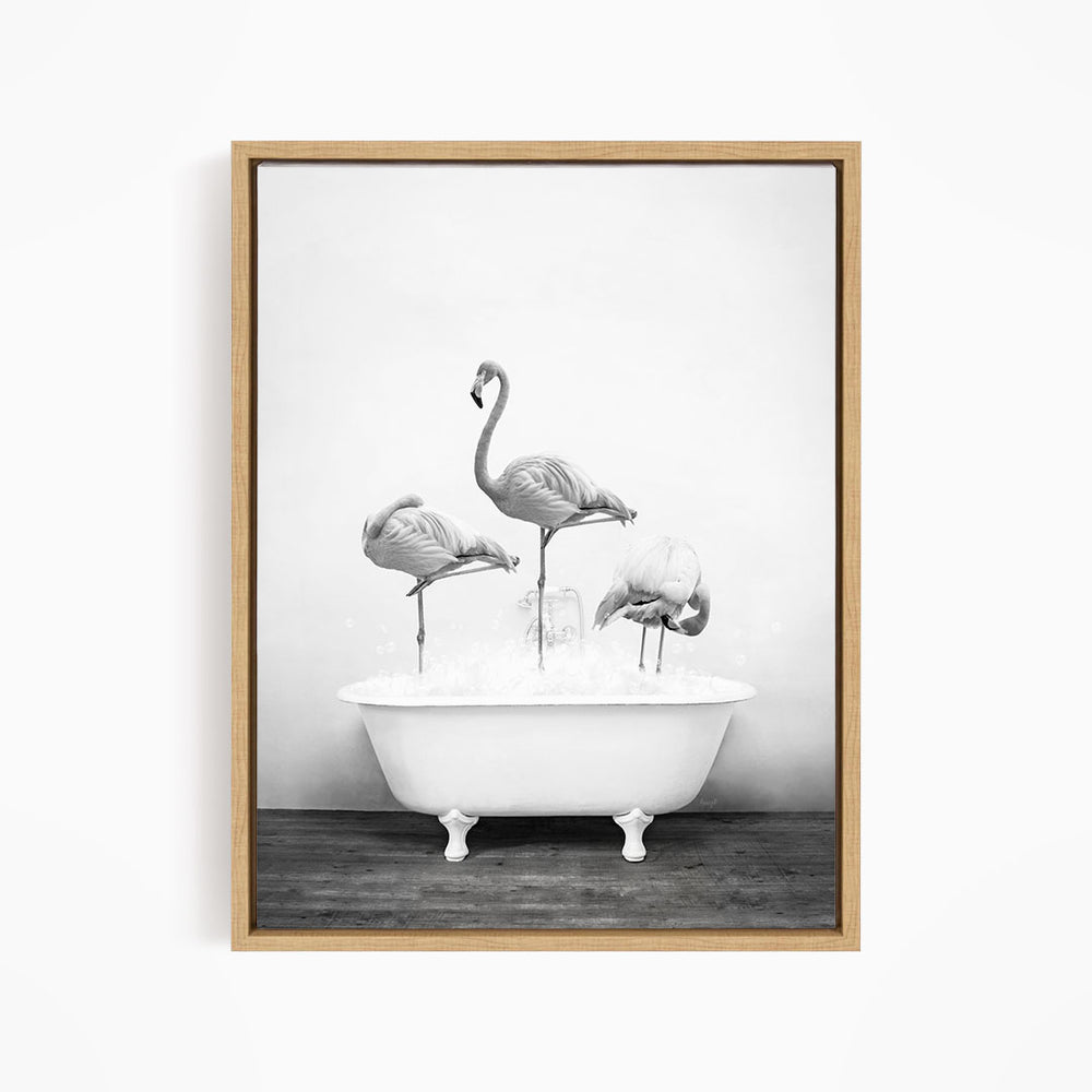 A black and white image of three flamingos standing in a white bathtub filled with water.