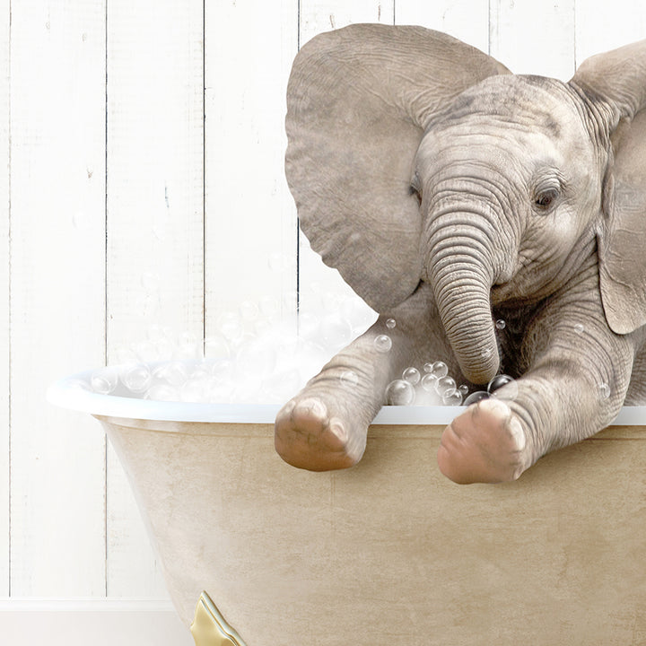 a baby elephant taking a bath in a bathtub