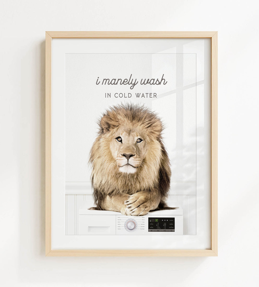 A framed image of a lion sitting on a washing machine, with the text "I merely wash in cold water" above the lion.