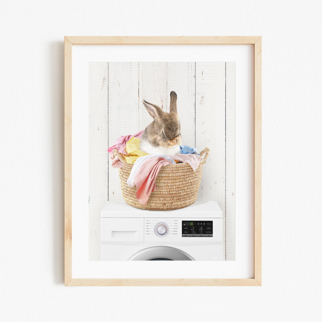 A rabbit sits in a woven basket atop a washing machine, surrounded by laundry.
