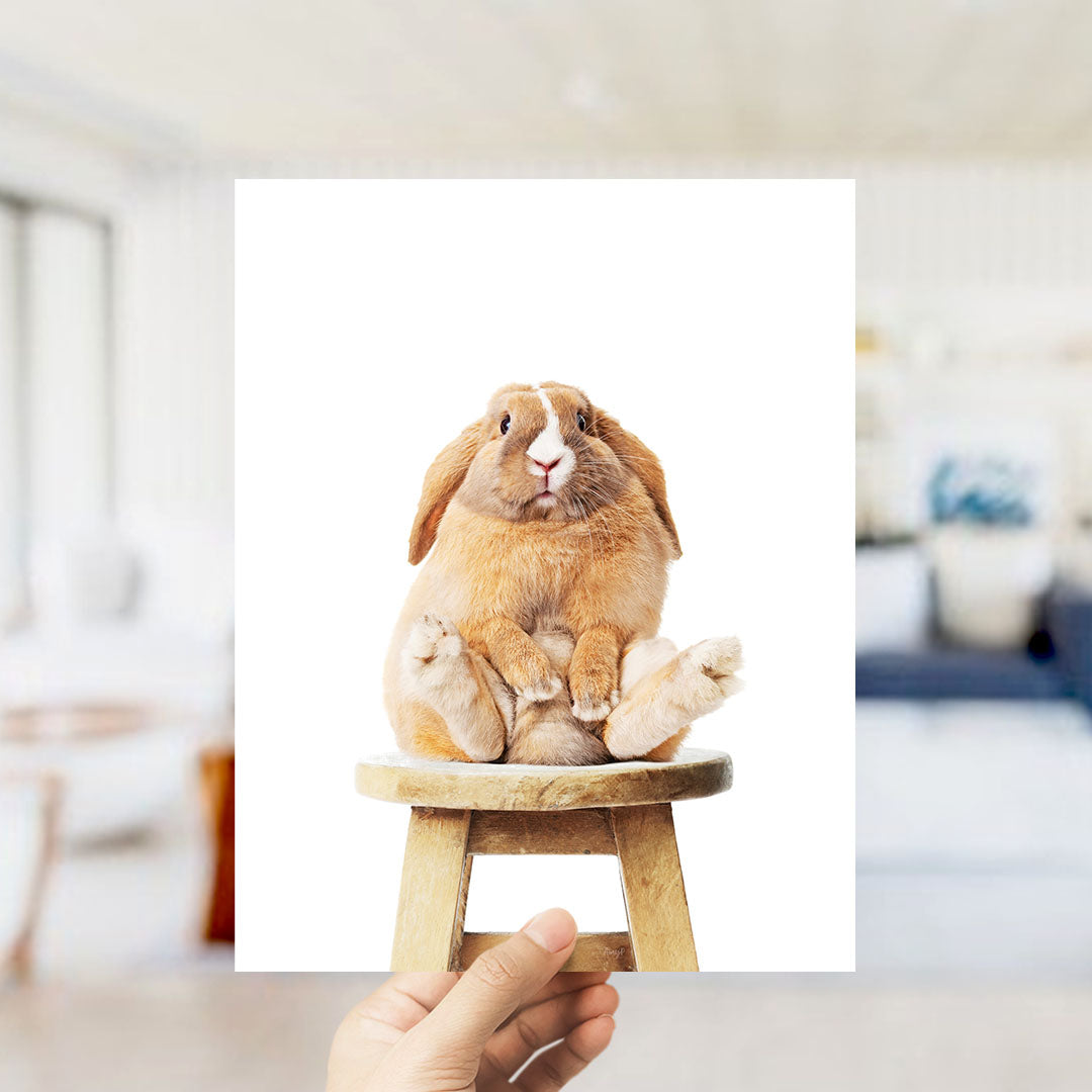 A hand holds up a photograph of a brown rabbit sitting on a wooden stool.