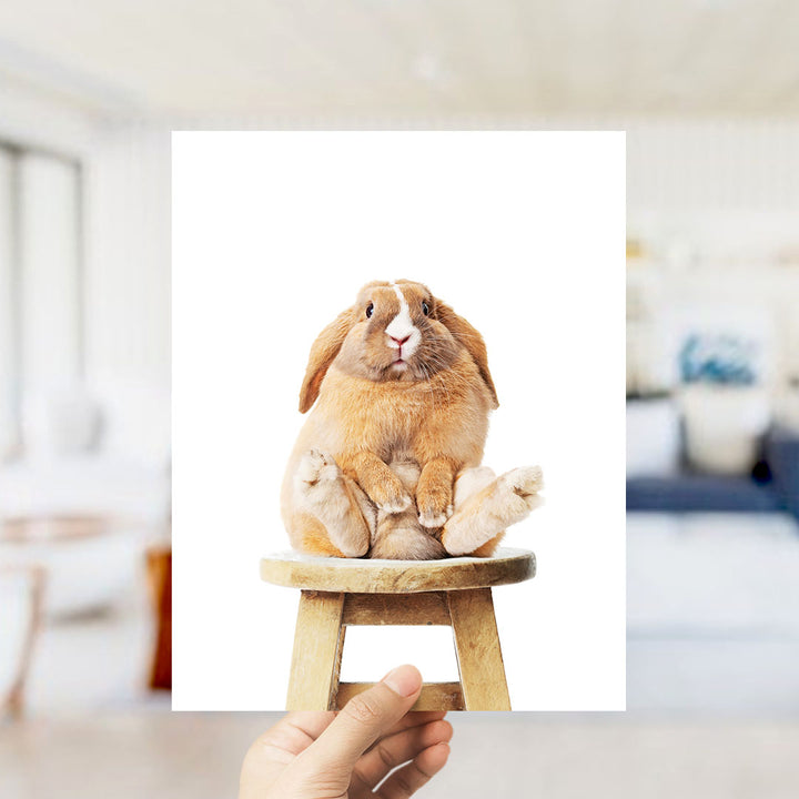 A hand holds up a photograph of a brown rabbit sitting on a wooden stool.