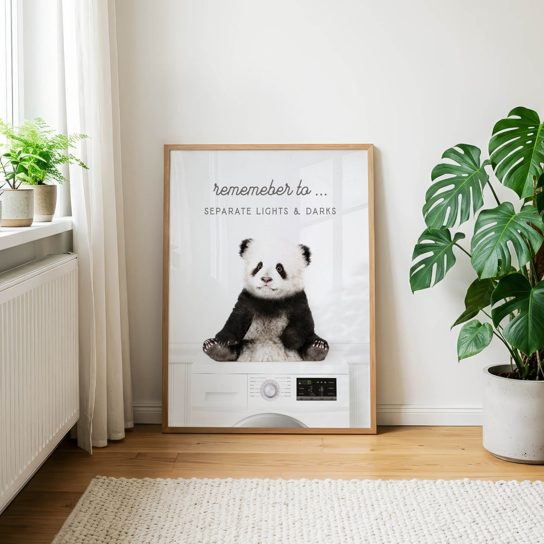 a framed poster of a panda bear sitting on a washing machine, with the text "Remember to separate lights & darks" on the poster.