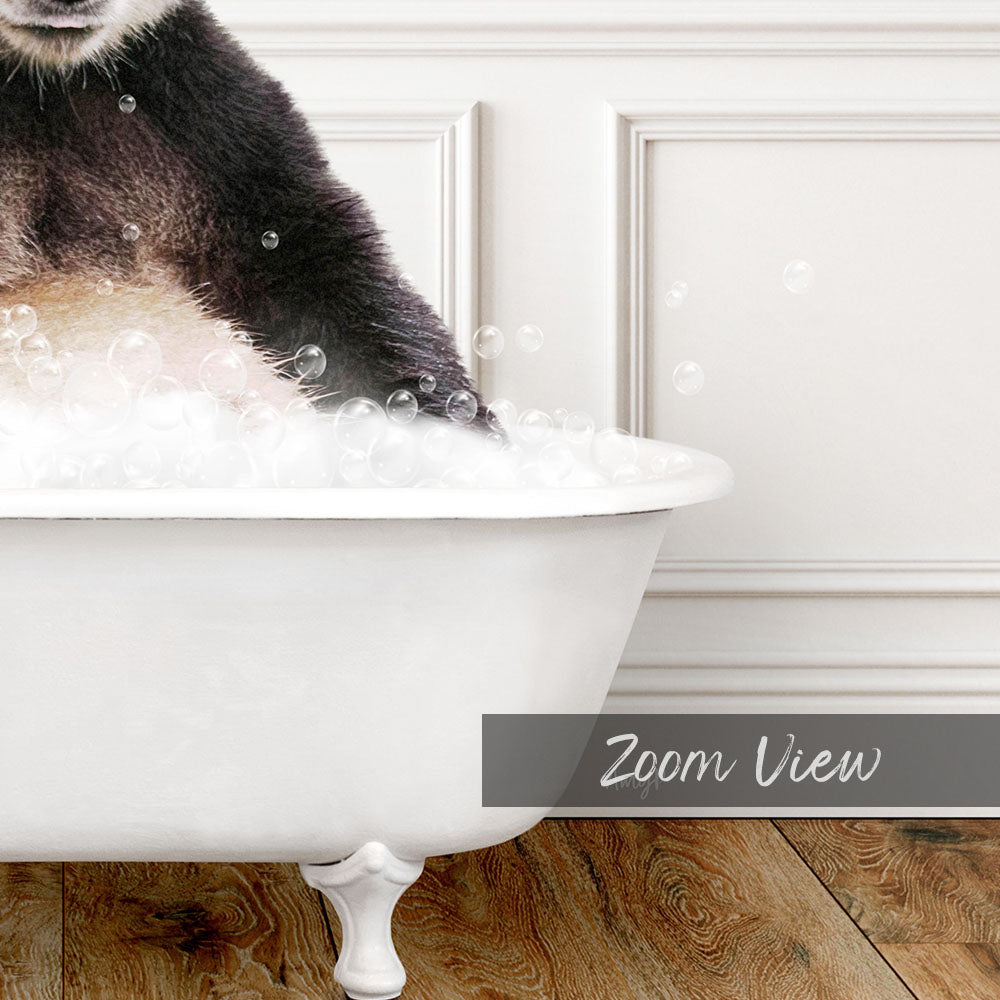 A cat sitting in a white bathtub filled with bubbles, with the text "Zoom View" displayed below the image.