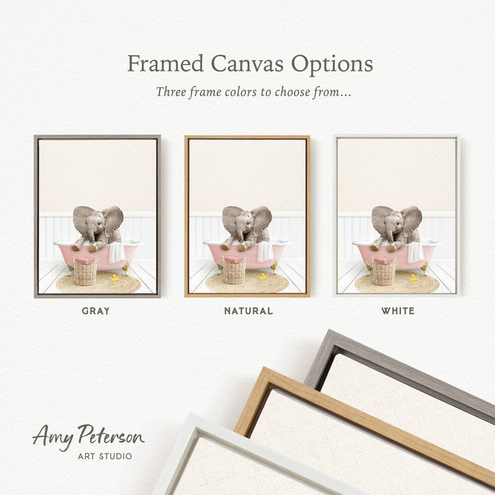 three framed canvas options, each featuring a different color: gray, natural, and white. The text above the images reads " framed Canvas Options" and "Three frame colors to choose from...". The bottom of the image includes the text " Amy Peterson ART STUDIO".