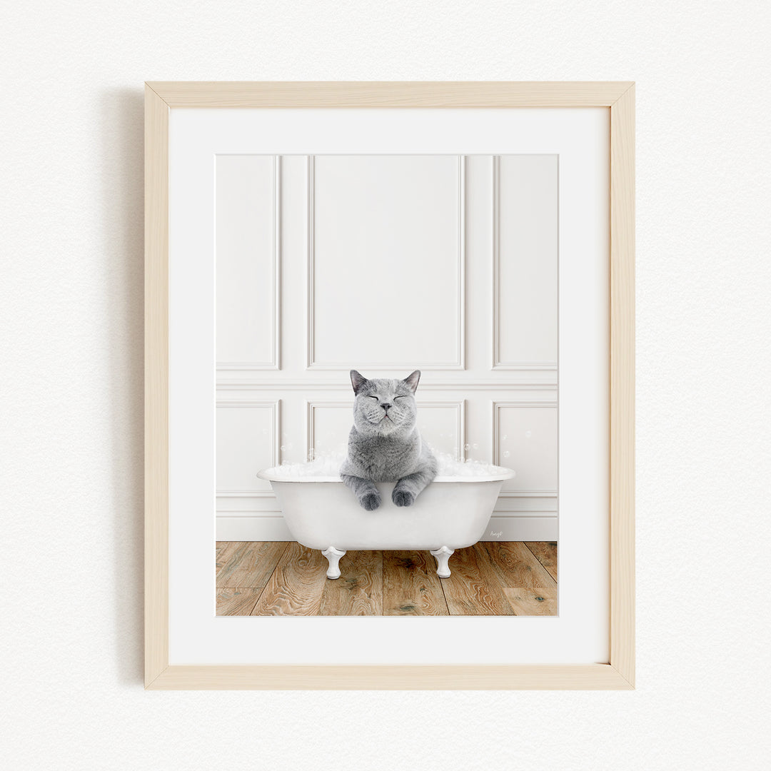A gray cat sitting in a white bathtub, with a wooden floor and white paneled wall in the background.