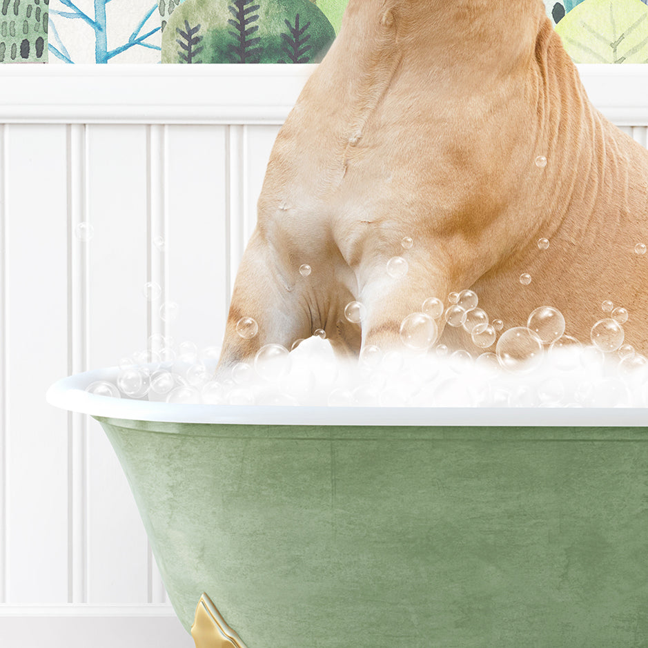 a dog sitting in a bathtub full of bubbles