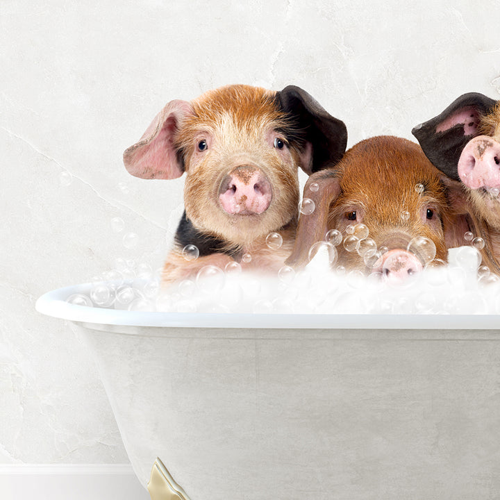 a group of three pigs sitting in a bathtub