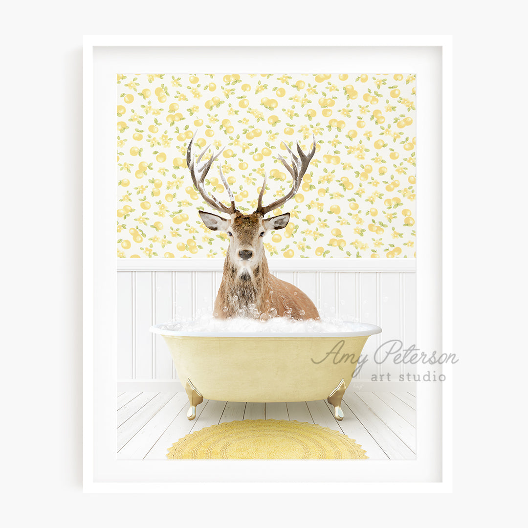 a picture of a deer in a bathtub