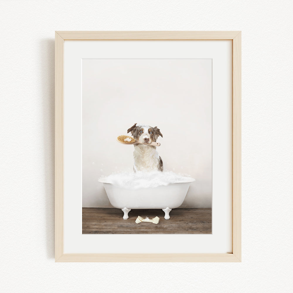 A dog sitting in a white bathtub, holding a toy in its mouth, with a wooden floor and a white dog toy nearby.