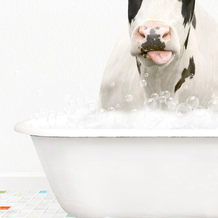 a cow sticking its tongue out in a bathtub full of bubbles