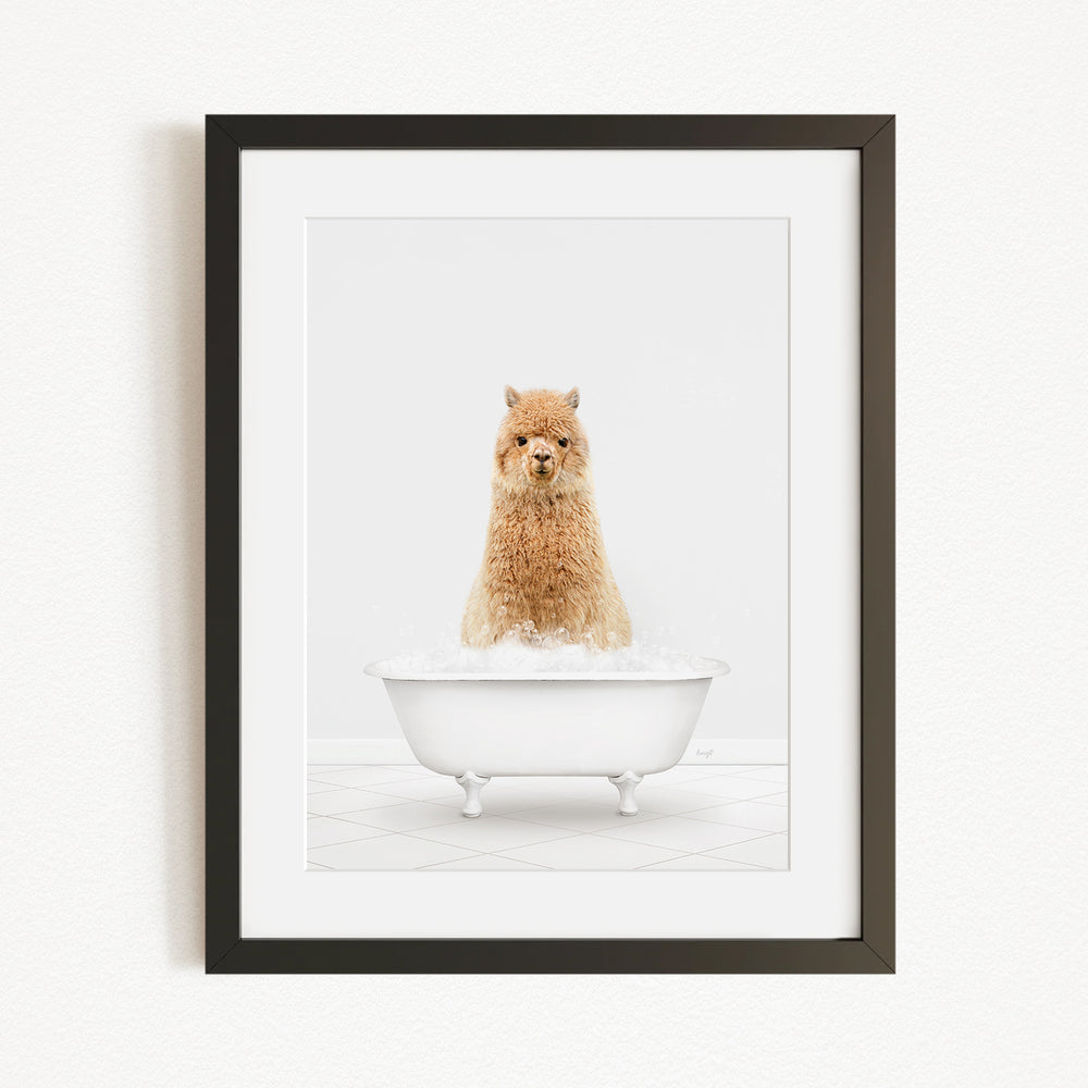 A fluffy brown dog sitting in a white bathtub filled with bubbles, looking directly at the camera.