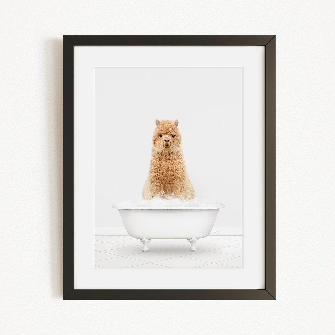 A fluffy brown dog sitting in a white bathtub filled with bubbles, looking directly at the camera.