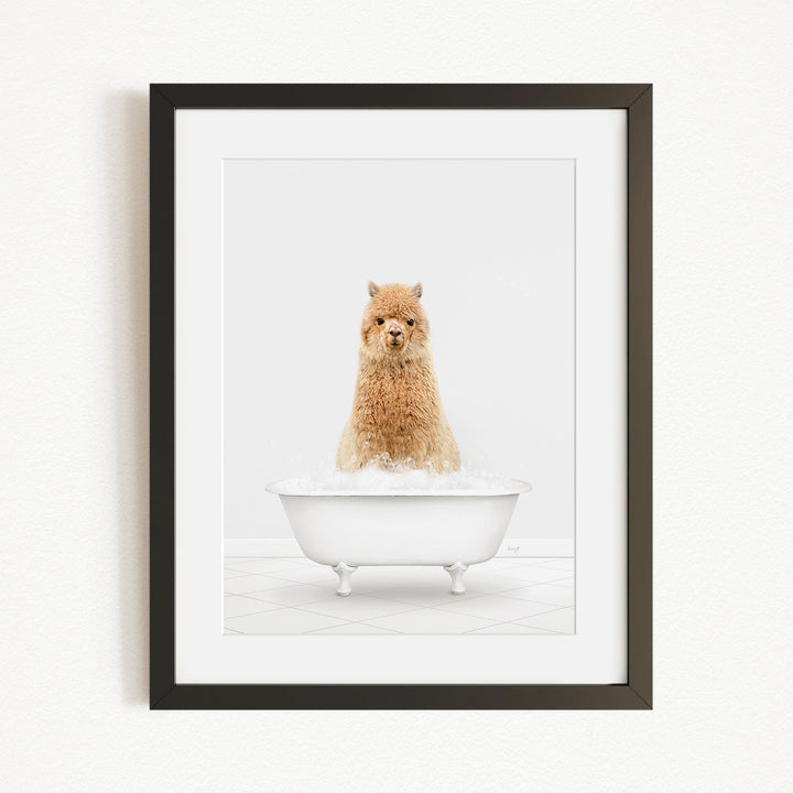 A fluffy brown dog sitting in a white bathtub filled with bubbles, looking directly at the camera.