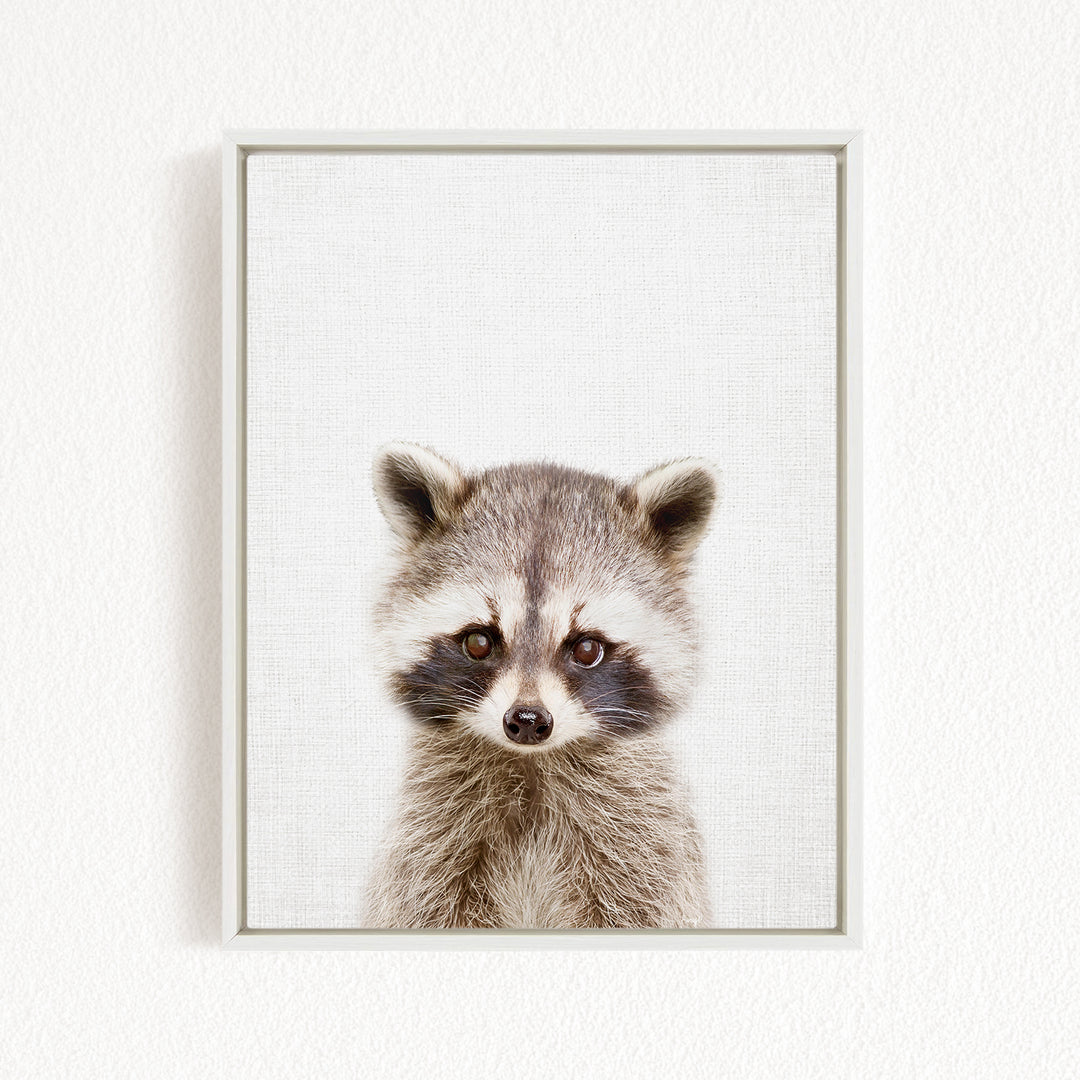 A raccoon with large eyes and a curious expression is the focus of the image.