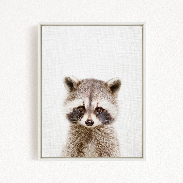 A raccoon with large eyes and a curious expression is the focus of the image.