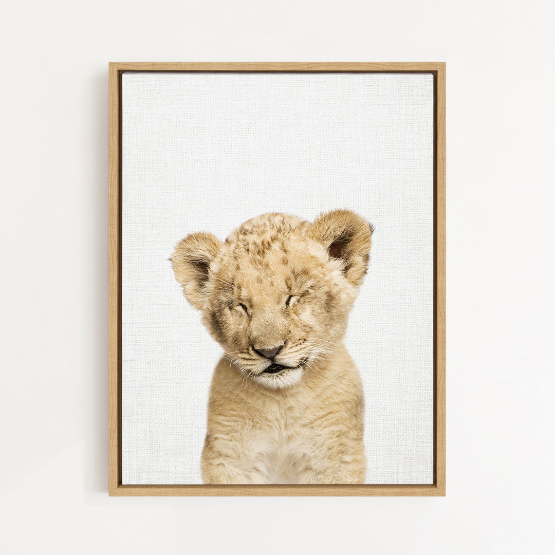 A young lion cub with its eyes closed, looking directly at the camera.